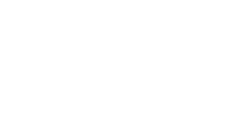 lpdp